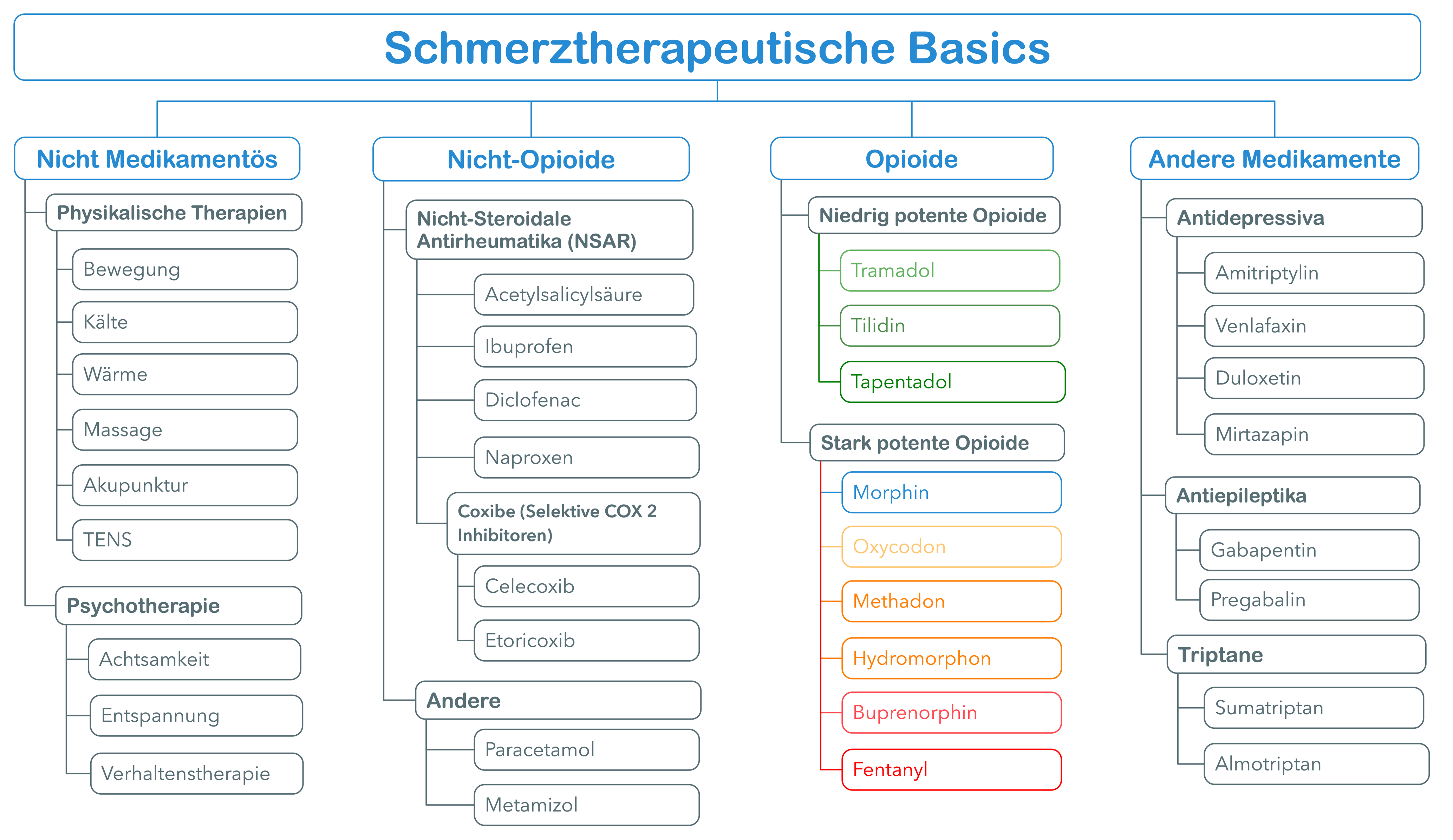 Schmerztherapeutische Basics.png