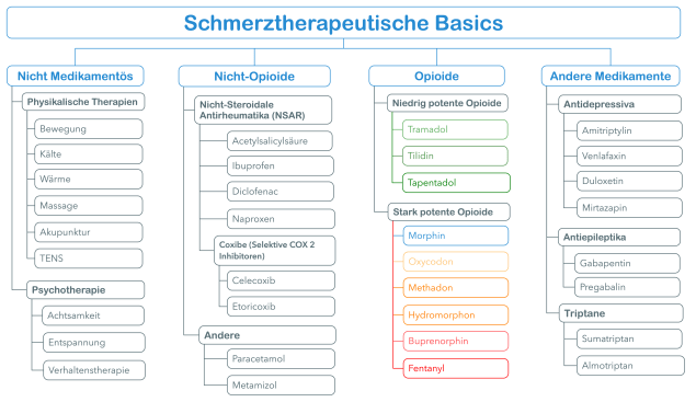 Schmerztherapeutische Basics.png